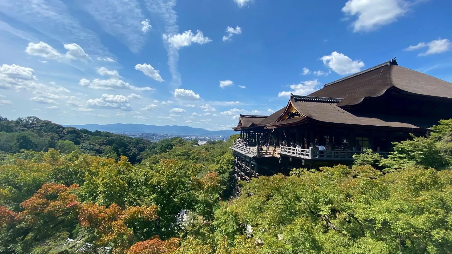 212Gblhouse,大阪中心部,道頓堀,難波,心斎橋,黒門市場エリア!Usjもすぐ!駅から徒歩1分の広いおしゃれな部屋!